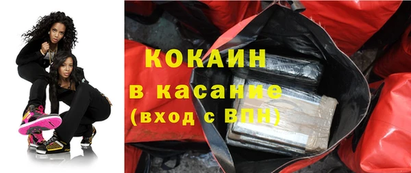 ГАЛЛЮЦИНОГЕННЫЕ ГРИБЫ Инта