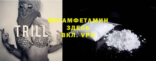 ГАЛЛЮЦИНОГЕННЫЕ ГРИБЫ Инта