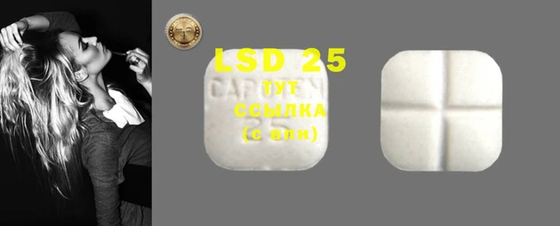 ГАЛЛЮЦИНОГЕННЫЕ ГРИБЫ Инта