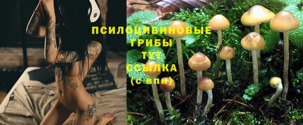 ГАЛЛЮЦИНОГЕННЫЕ ГРИБЫ Зеленодольск