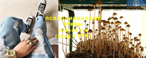 ГАЛЛЮЦИНОГЕННЫЕ ГРИБЫ Инта