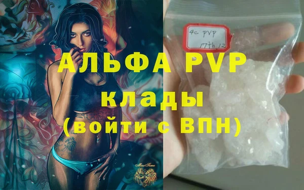 стаф Иннополис