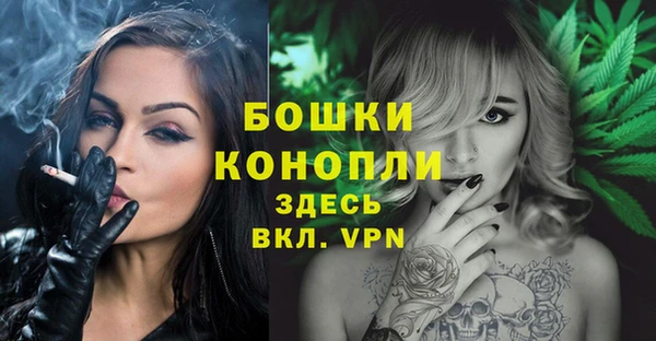 ГАЛЛЮЦИНОГЕННЫЕ ГРИБЫ Инта