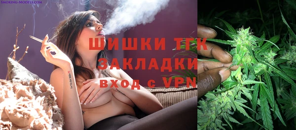 ГАЛЛЮЦИНОГЕННЫЕ ГРИБЫ Инта
