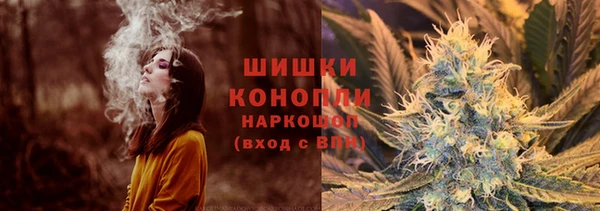 ГАЛЛЮЦИНОГЕННЫЕ ГРИБЫ Инта
