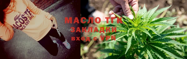 ГАЛЛЮЦИНОГЕННЫЕ ГРИБЫ Инта