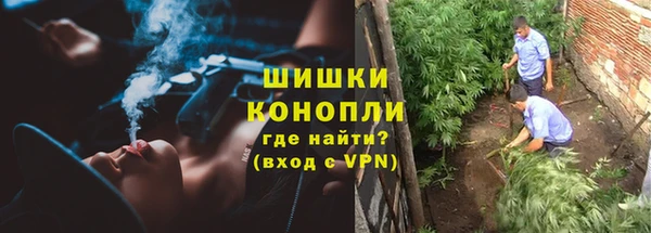 ГАЛЛЮЦИНОГЕННЫЕ ГРИБЫ Инта