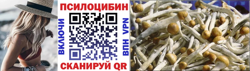 Псилоцибиновые грибы Psilocybe  цены наркотик  Пушкино 